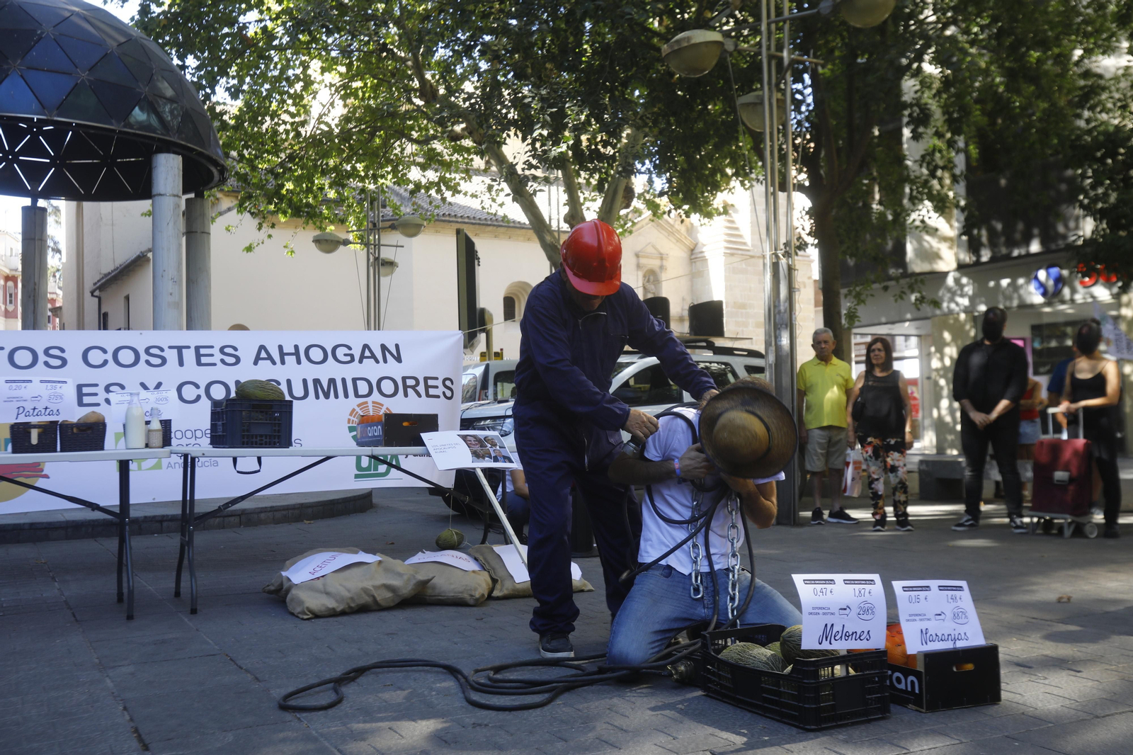 La concentración a favor del campo y el sector agrario en Córdoba, en imágenes