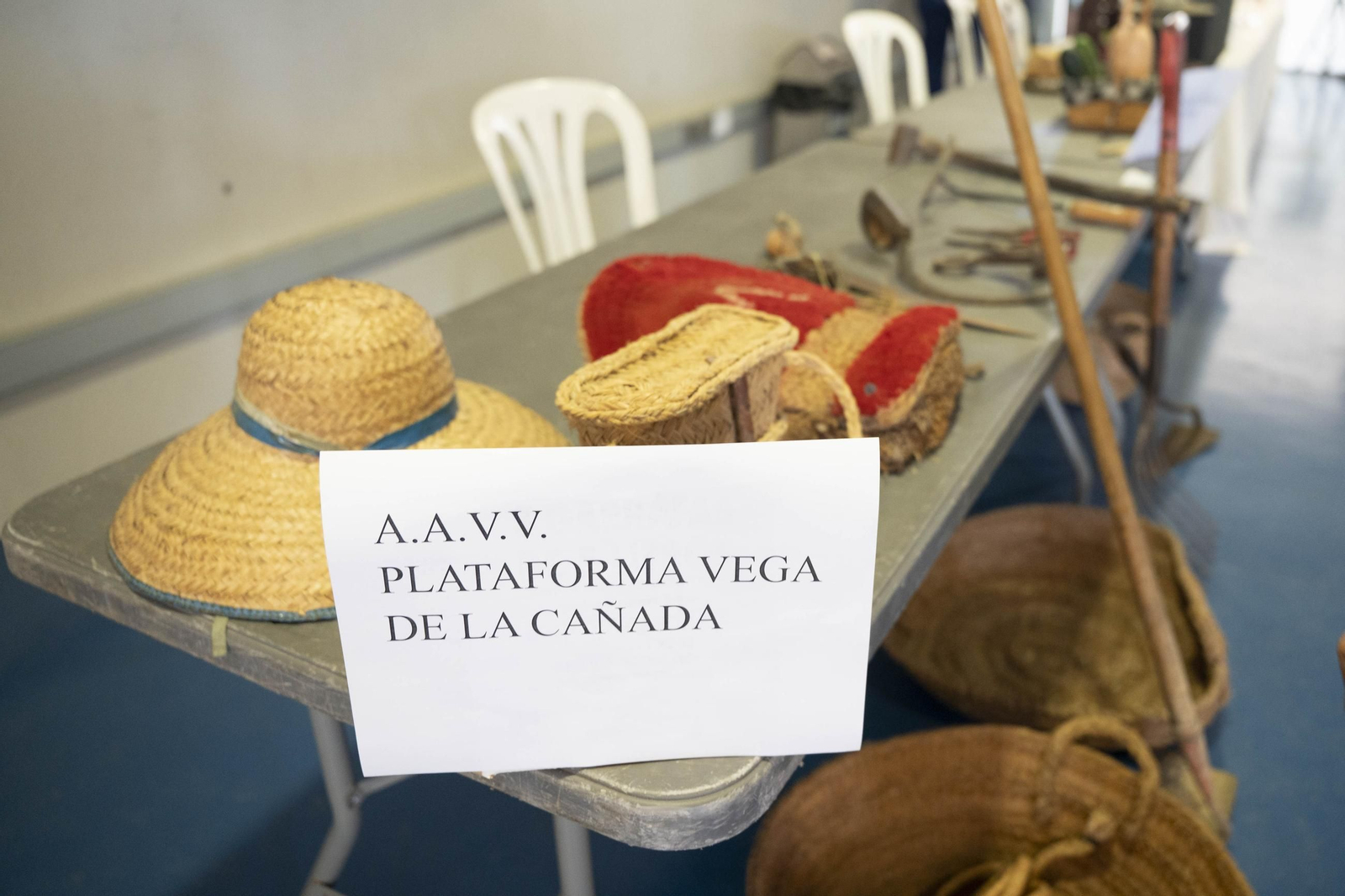 El encuentro Vecinal en el Palacio de Exposiciones y Congresos ‘Cabo de Gata – Ciudad de Almería’ de El Toyo, en imágenes