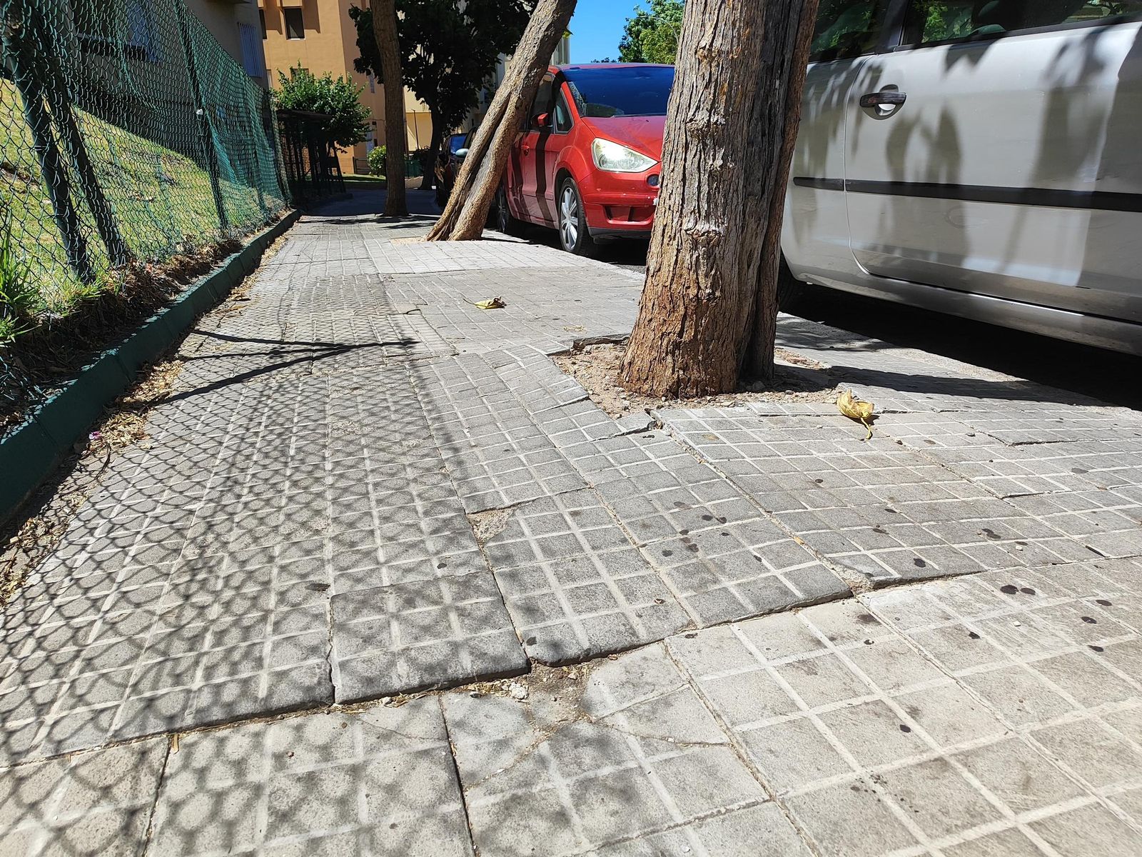Daños en la acera de la avenida Ramón Puyol de Algeciras.