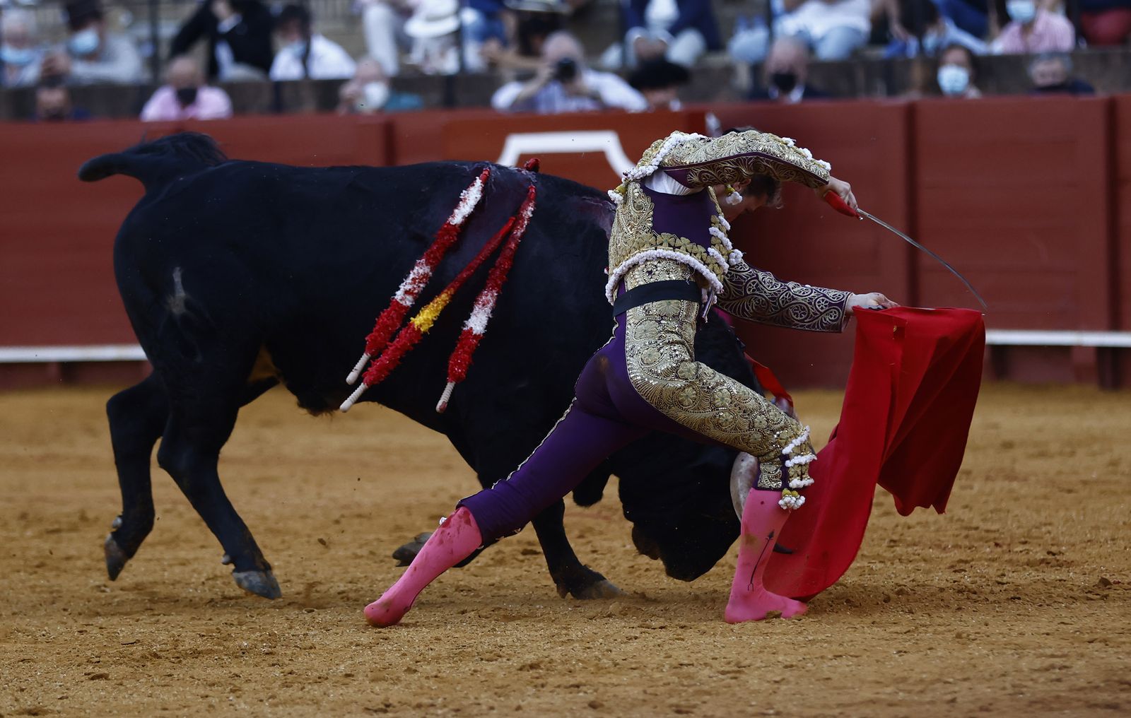 Fotos de la segunda novillada de la feria de San Miguel de Sevilla