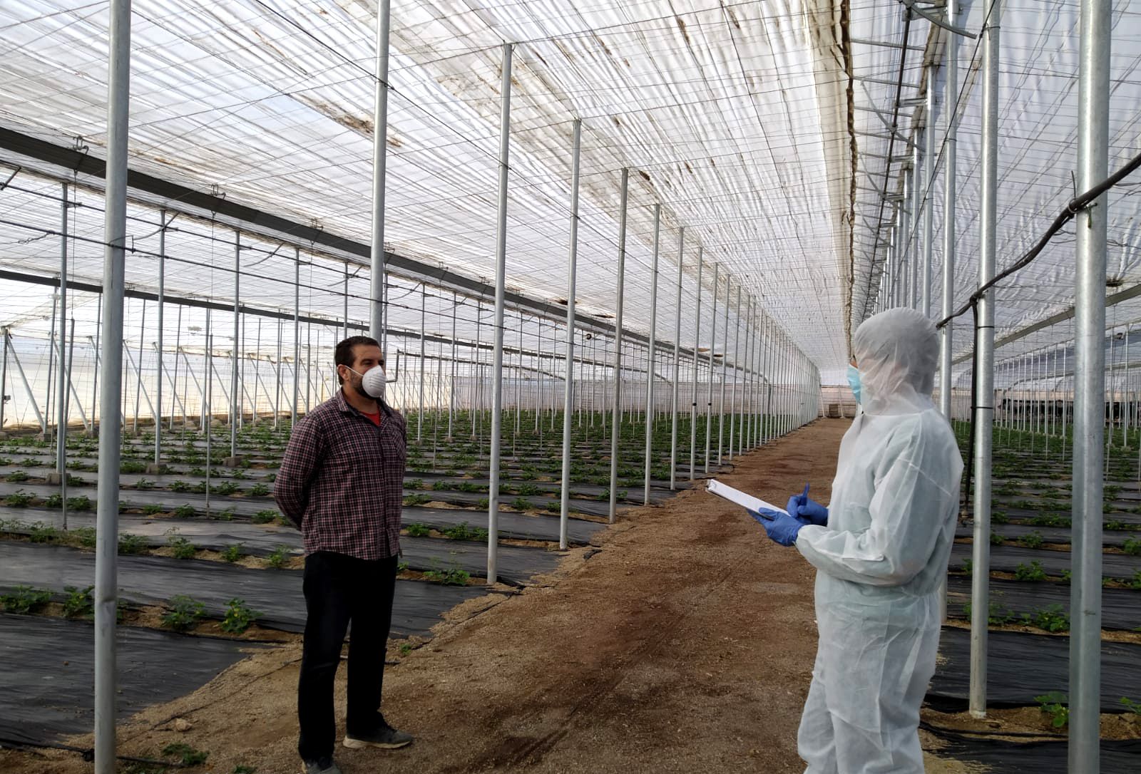 Agrocolor realiza certificados, inspecciones, controles y ensayos agroalimentarios.