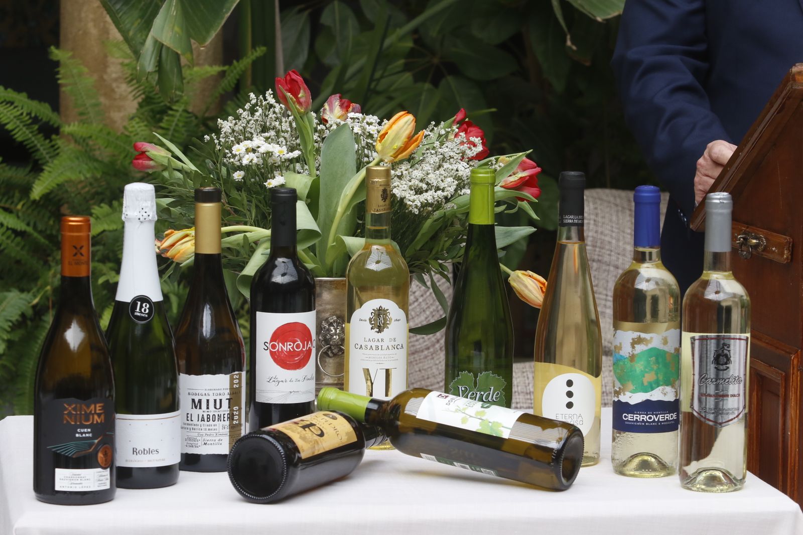 La presentación en sociedad de los vinos nuevos de Moriles y Montilla, en imágenes