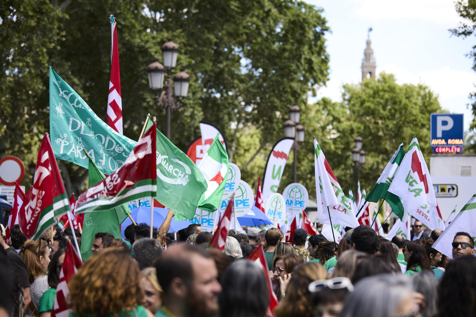 Las imágenes de la manifestación de docentes