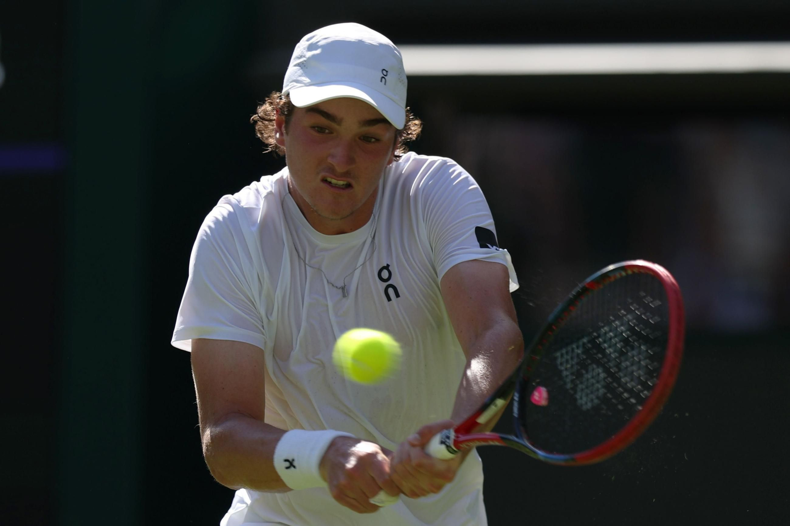 La primera jornada de Wimbledon (96).jpg