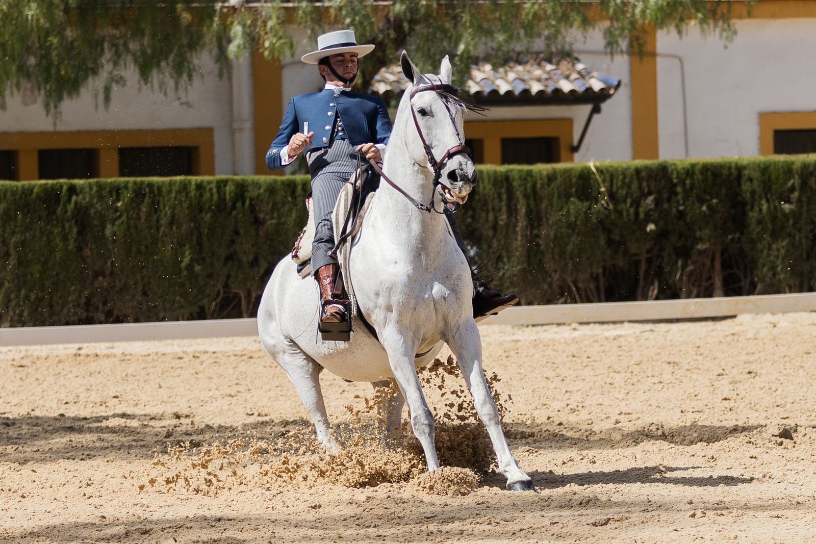 Imágenes de la Final de Doma Vaquera en Sementales