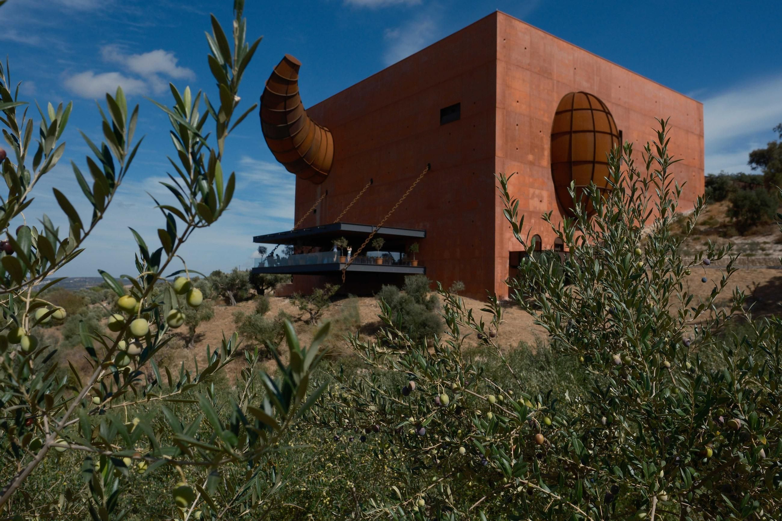 El edificio está situado en un finca que cuenta con diferentes tipos de olivar.