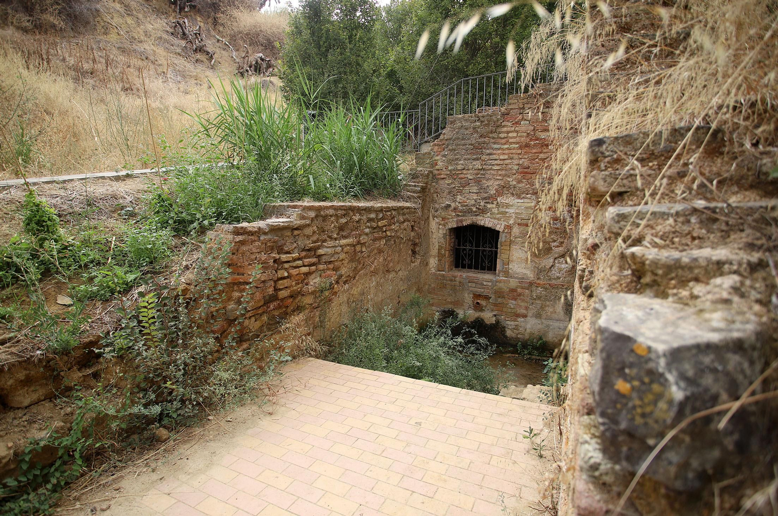 Imágenes de La Fuente Vieja y su entorno