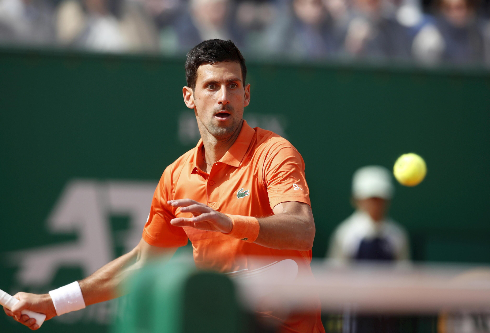 Las fotos del Djokovic-Davidovich