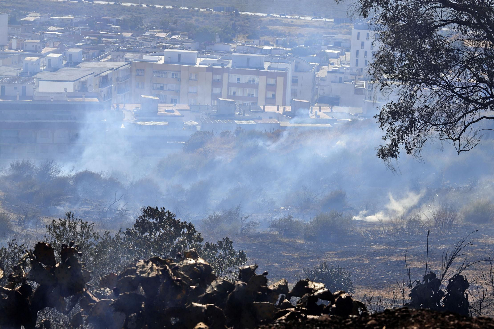 Imágenes del espectacular incendio en las laderas del Conquero