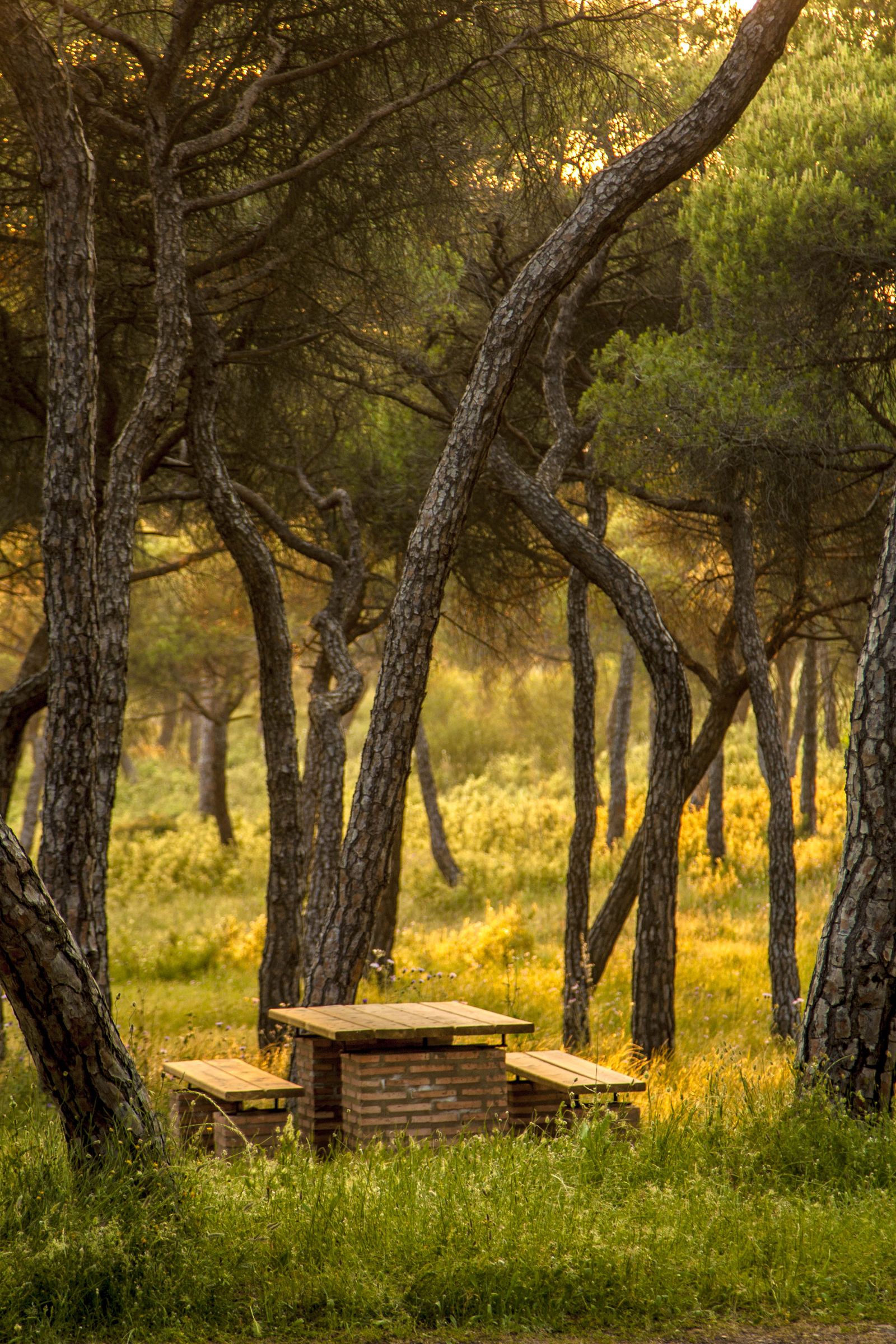 La naturaleza de Aljaraque y sus senderos.