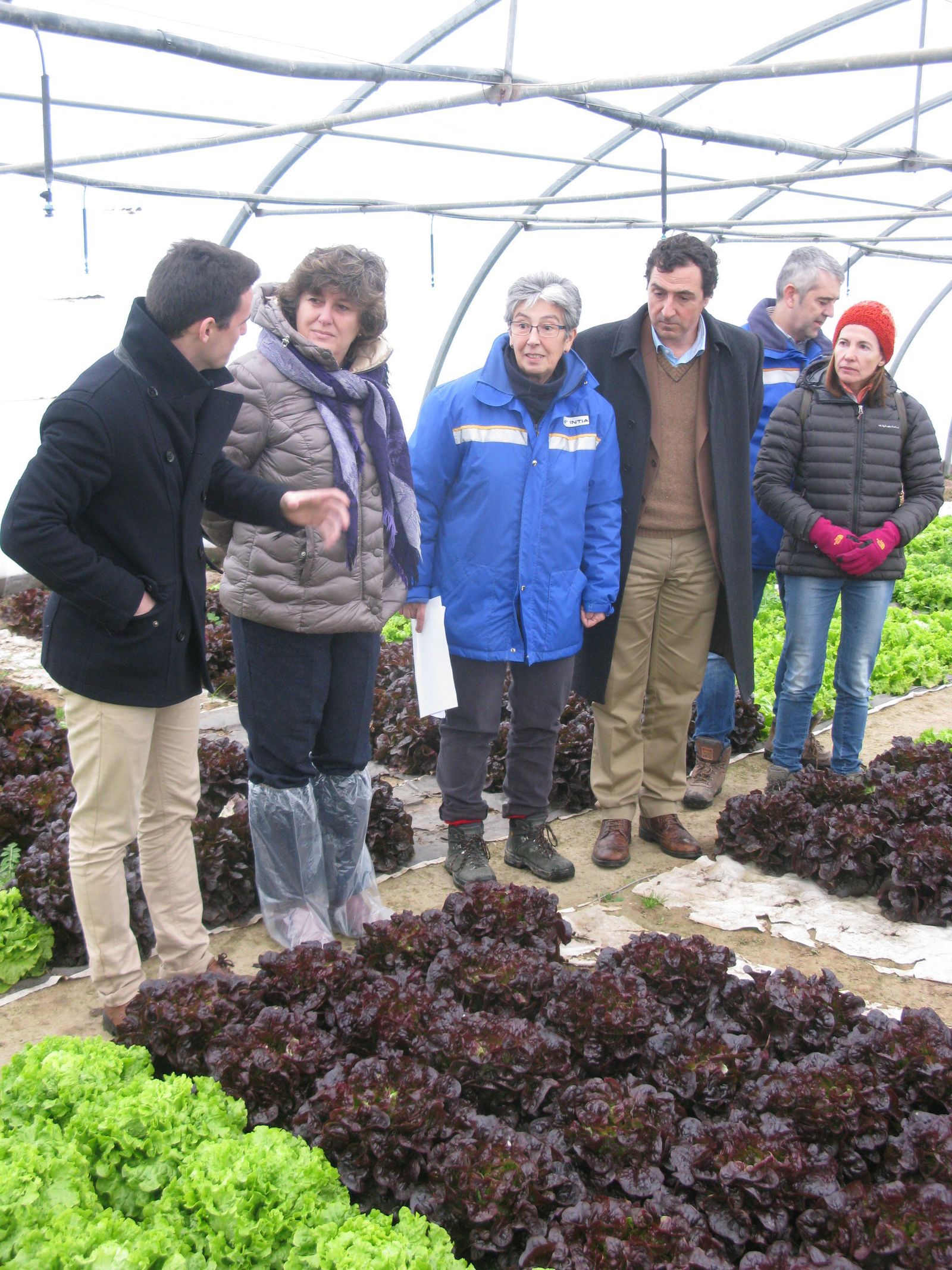 Imagen de una visita a la finca experimental donde se desarrolla la iniciativa.