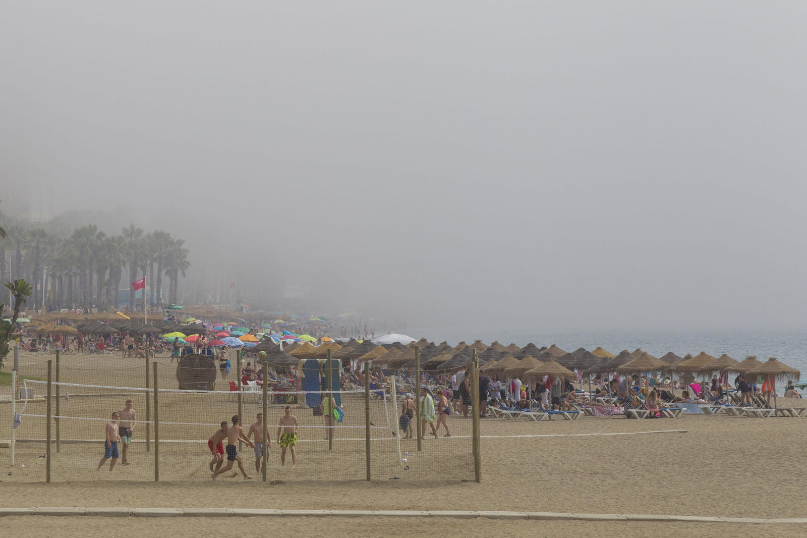El taró provoca la prohibición del baño en las playas de Málaga, en imágenes