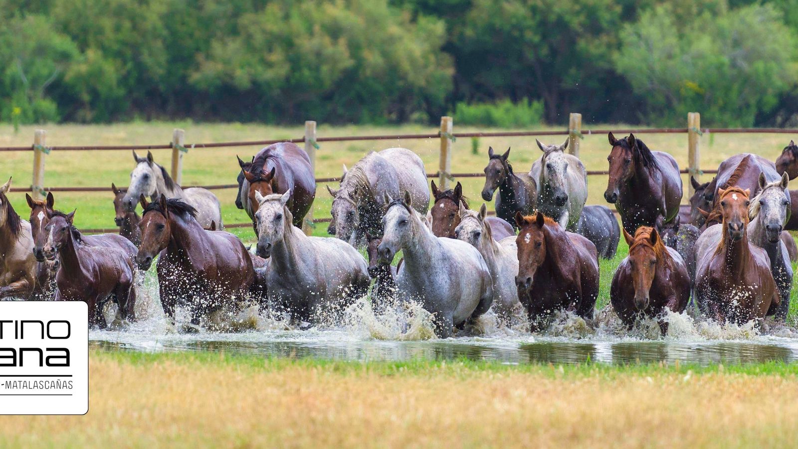 Todo el año, Destino Doñana