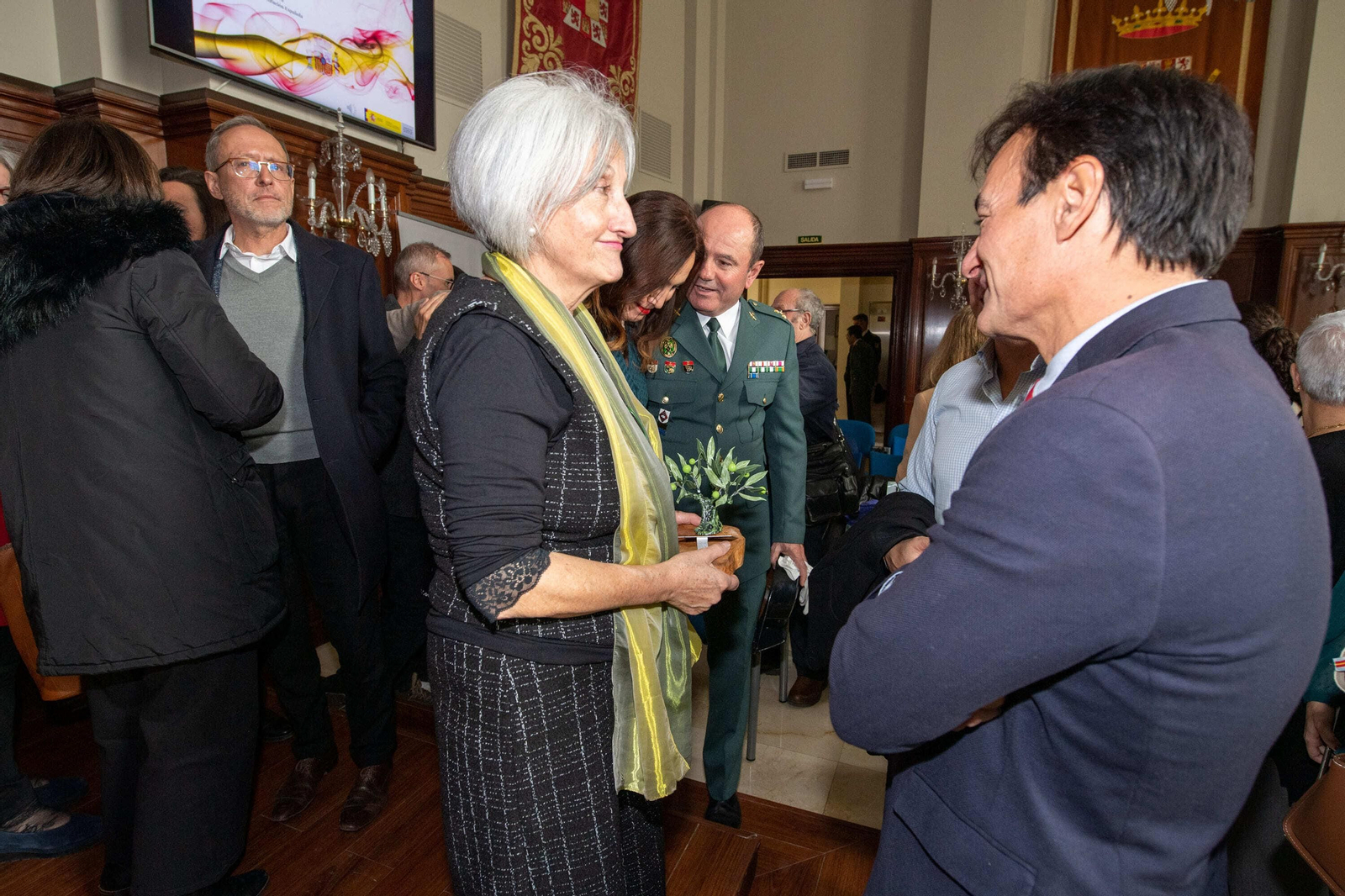 Día de la Constitución. Galardones conmemorativos