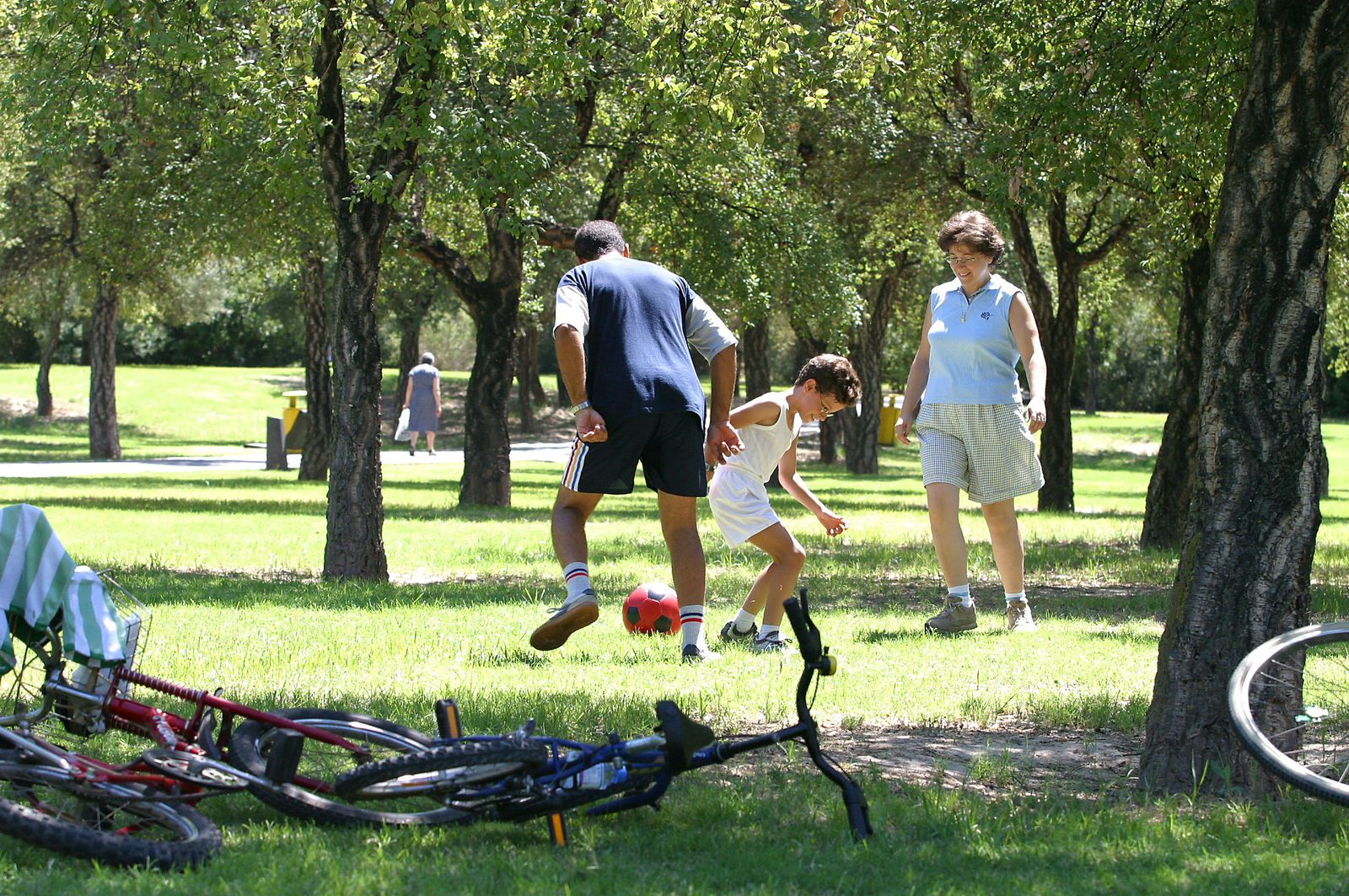 Juegos familiares en el Parque del Alamillo.