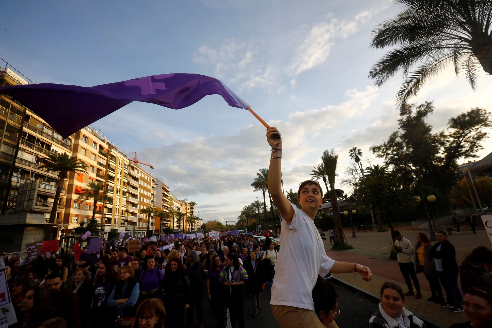 La manifestación del 8M en Córdoba, en imagenes