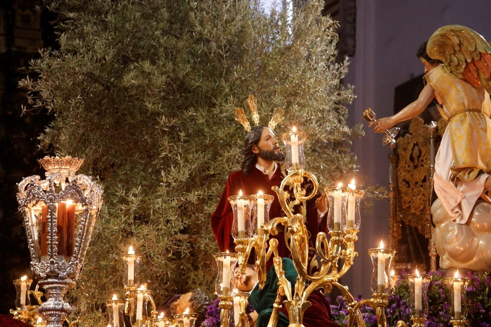 Intimidad en San Francisco con el Huerto en este Domingo de Ramos en Córdoba, en imágenes