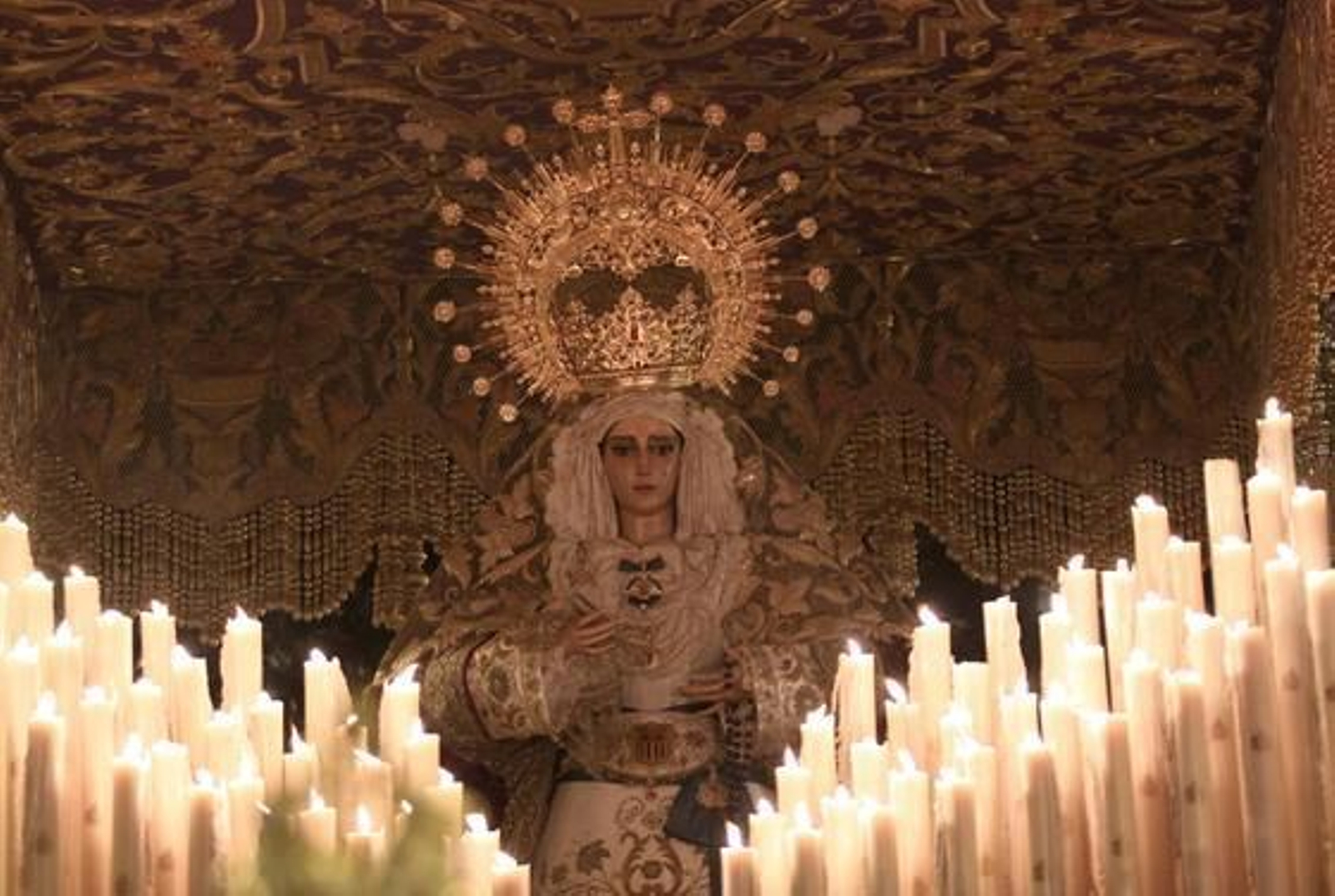 Sangre.

Foto: Fernandez