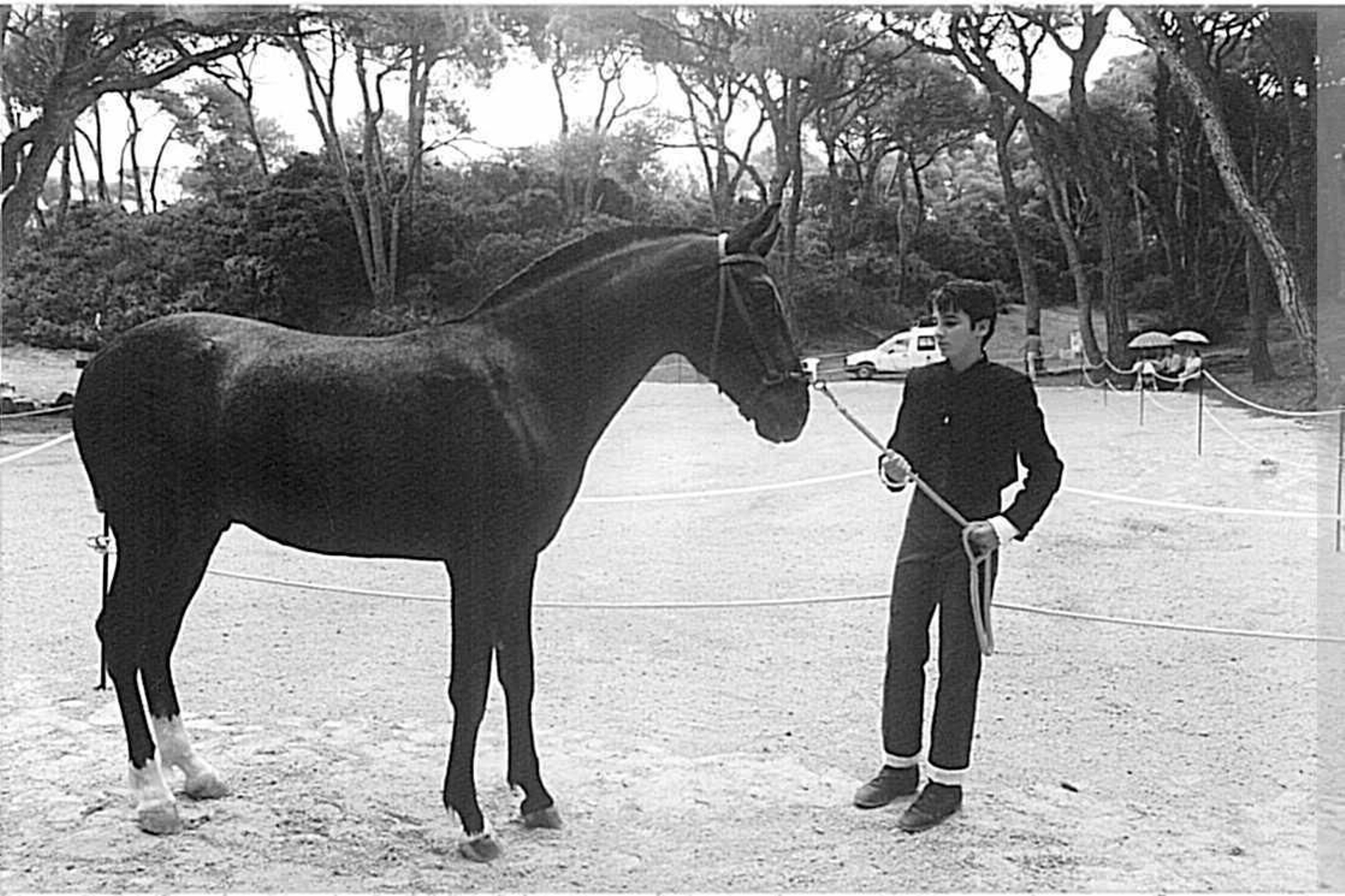 Así ha cambiado la Feria de Puerto Real en los últimos 30 años