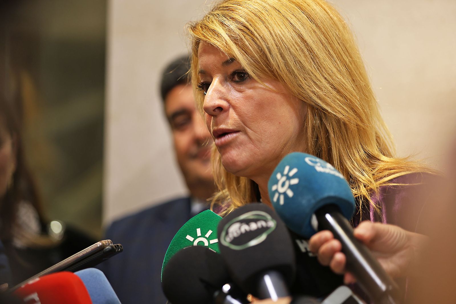 Imágenes de la Recepción en el Museo de Huelva del silbato turdetano hallado en Doñana