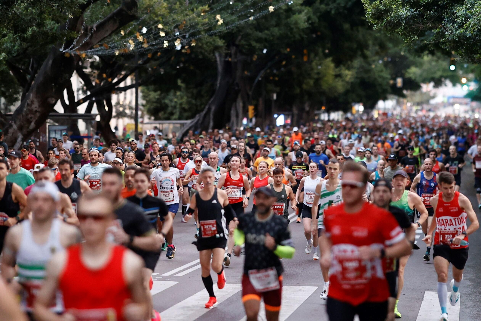 Las fotos de la Maratón de Málaga 2025