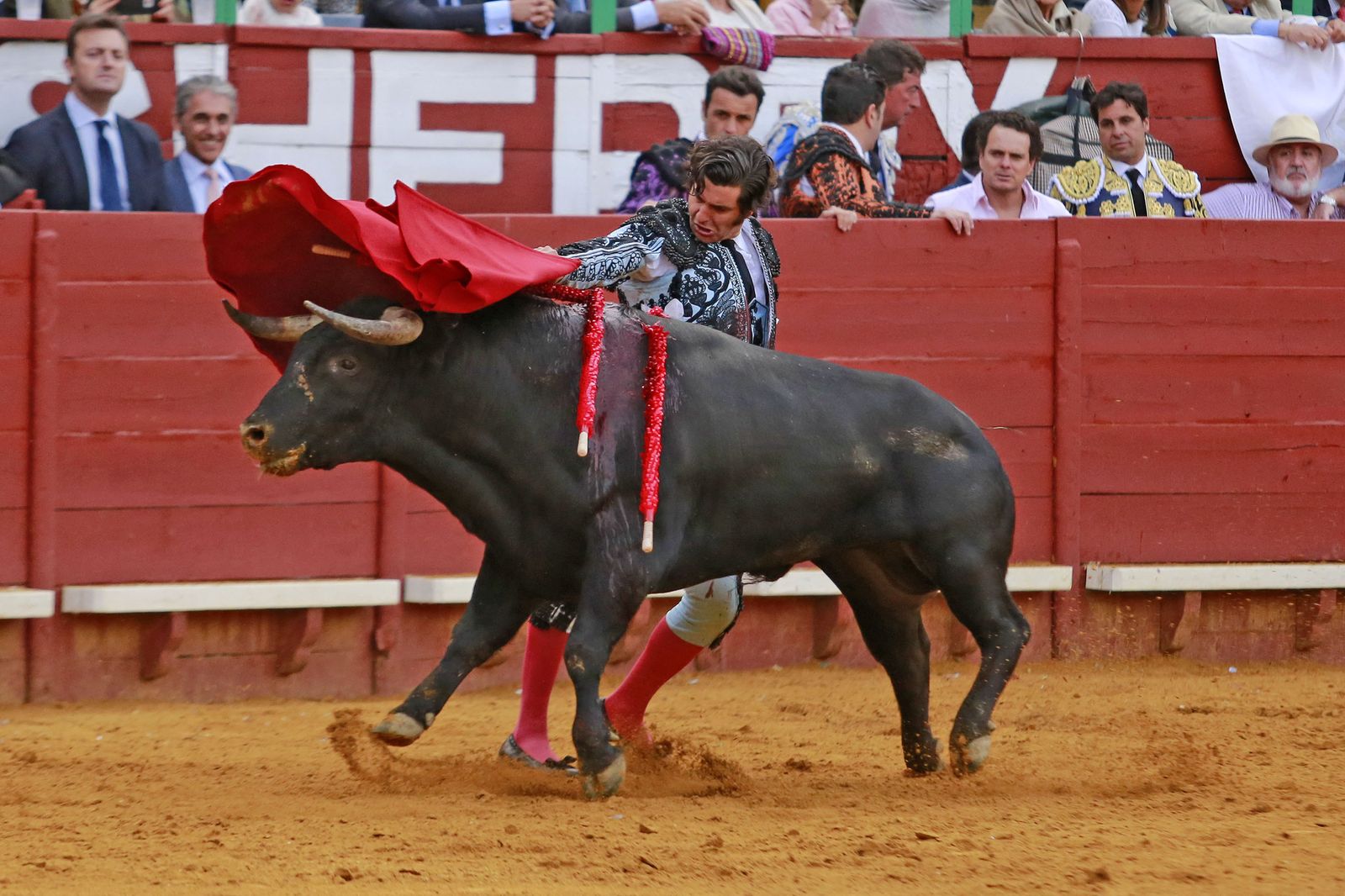 Corrida de toros de "Paquirri", Morante y "El Juli" en Jerez
