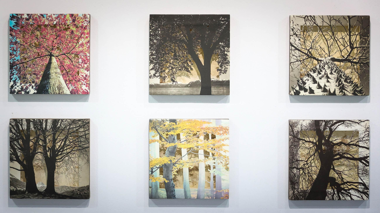 María Puyol expone su obra en el Campus de Jerez