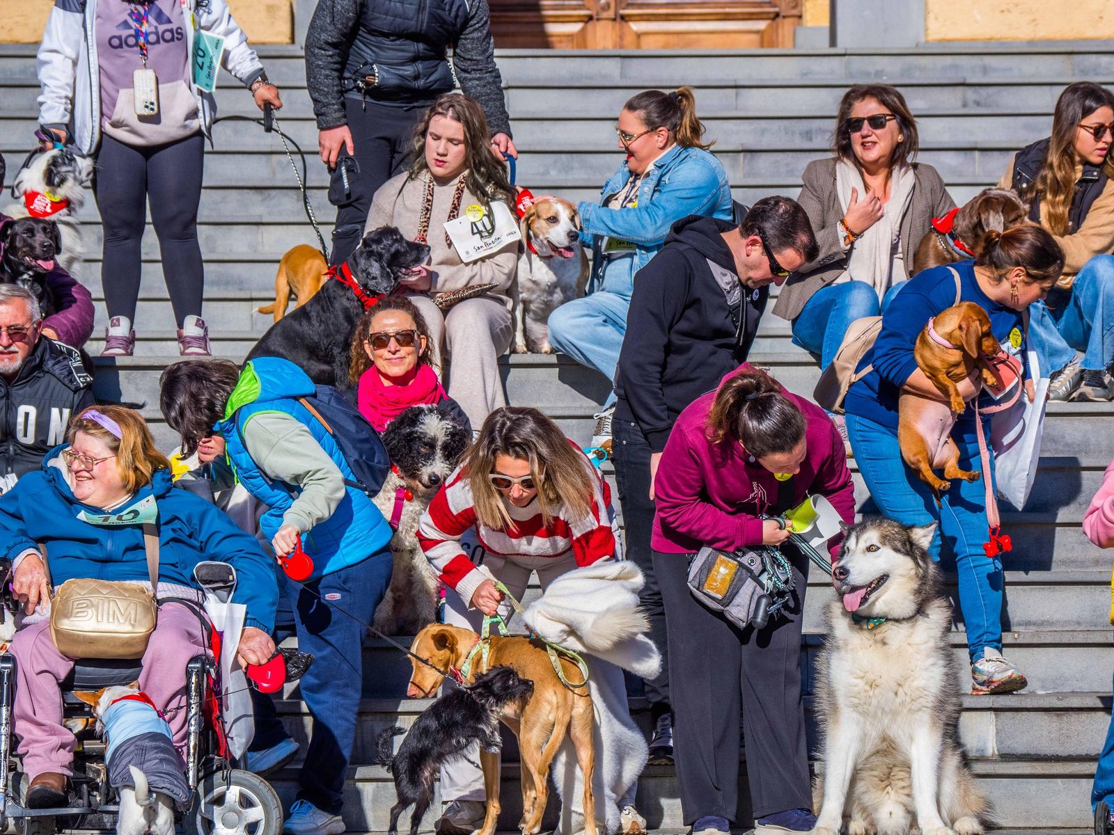 Las imágenes de San Antón 2025 en San Fernando