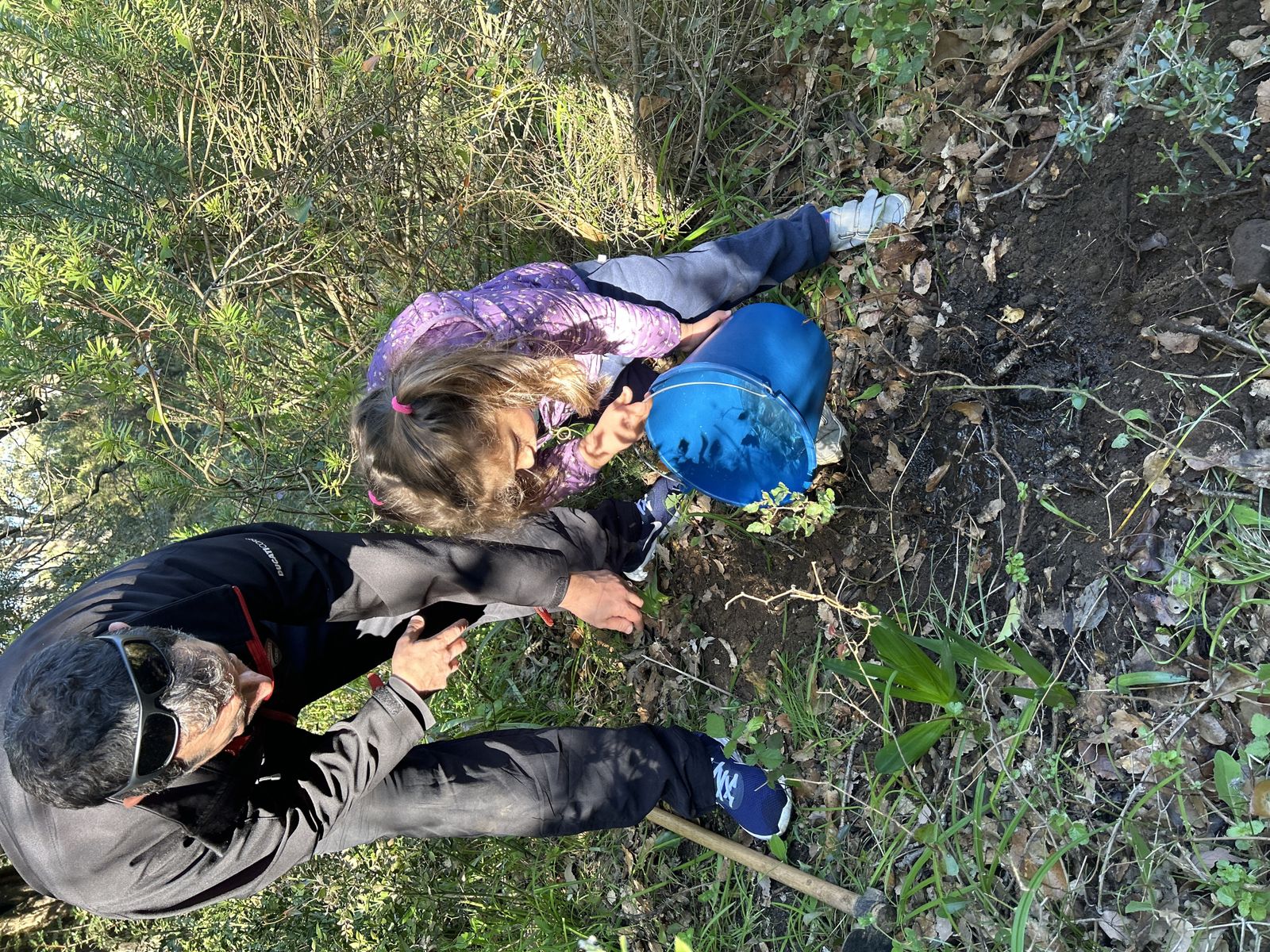 Jornada de reforestación en El Palancar por trabajadores de Acerinox, en imágenes