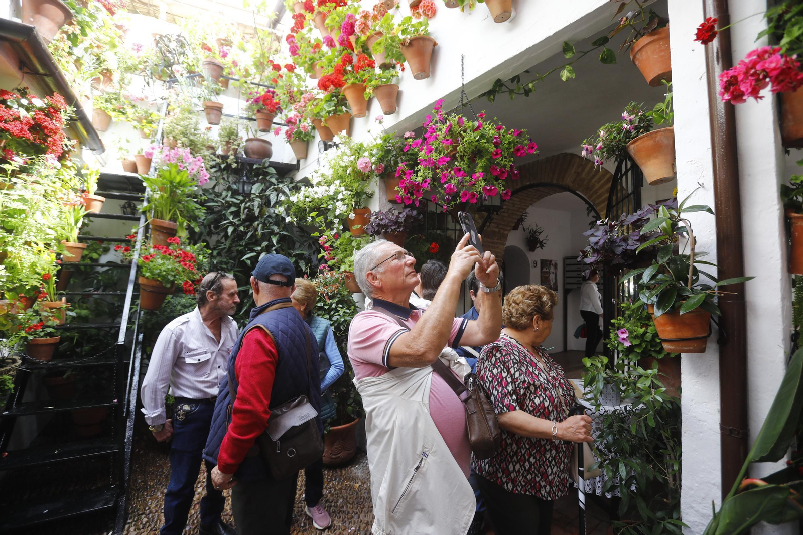 Colas e ilusión en el primer sábado de los Patios de Córdoba, en imágenes