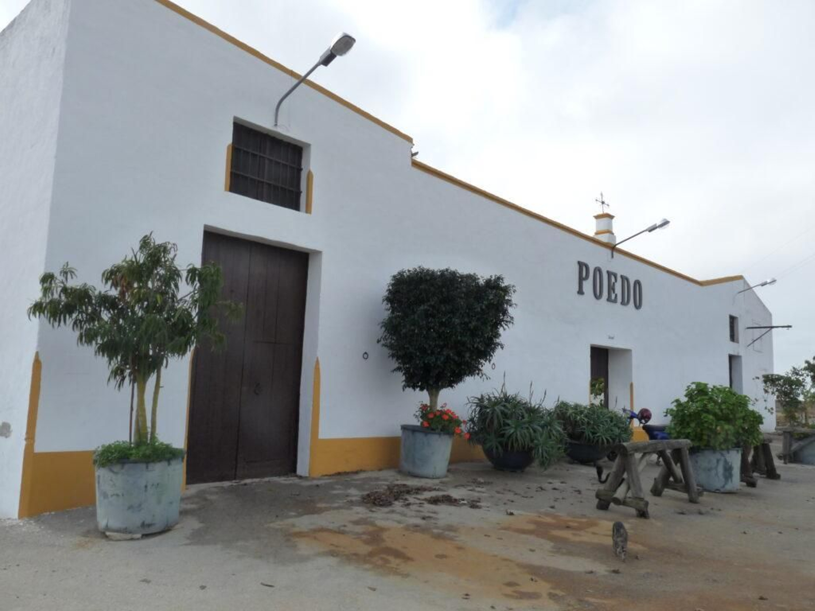 Fachada de la viña Poedo.