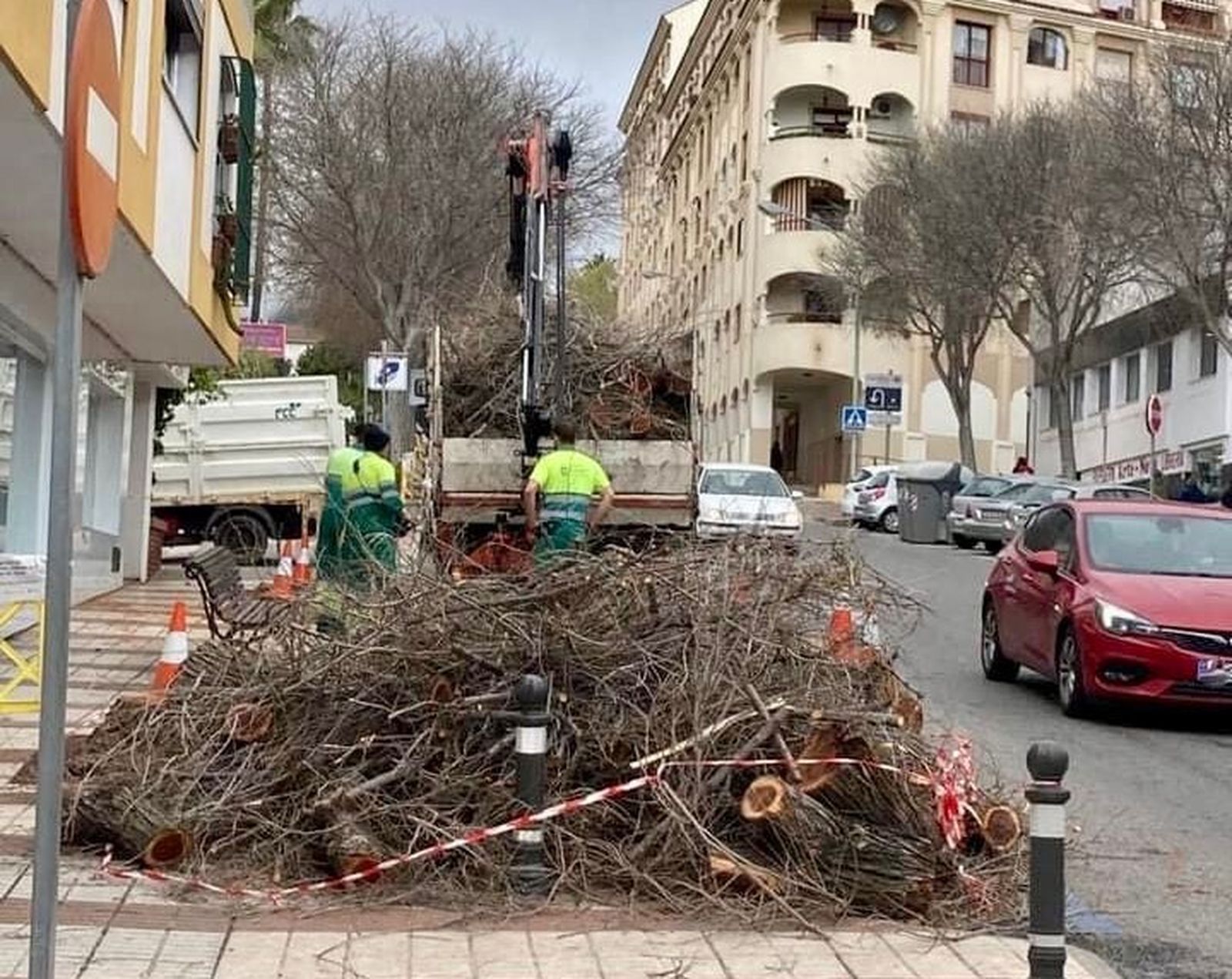 Unos operarios municipales retirando restos arbóreos de la avenida Salvador Vicente.