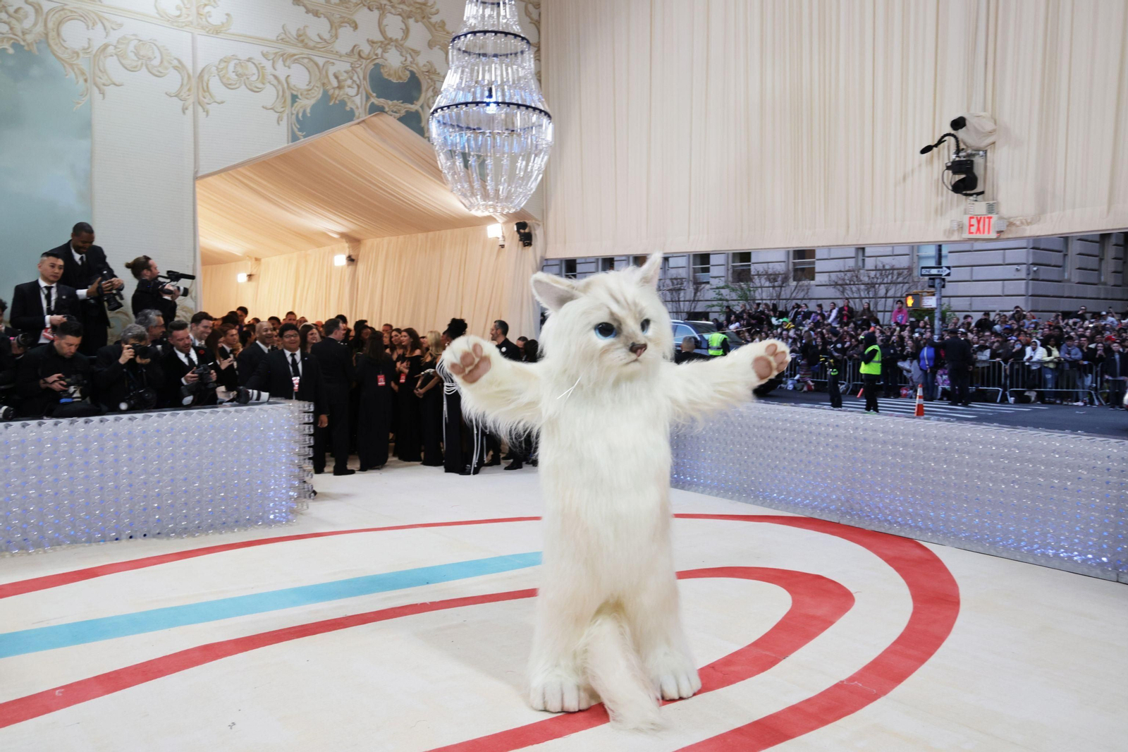 La gata Choupette, heredera de Karl Lagerfeld, vestido de Jared Leto en la MET Gala La gata Choupette, heredera de Karl Lagerfeld, vestido de Jared Leto en la MET Gala