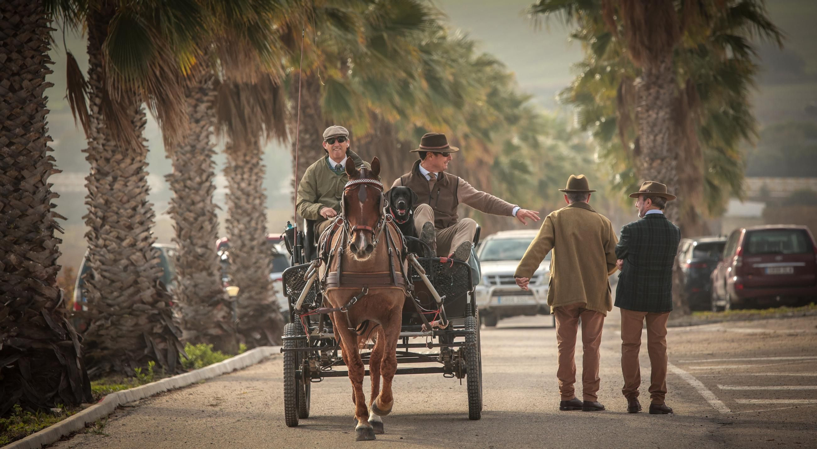 Búscate en la III Ruta Viñas de Jerez de Enganches