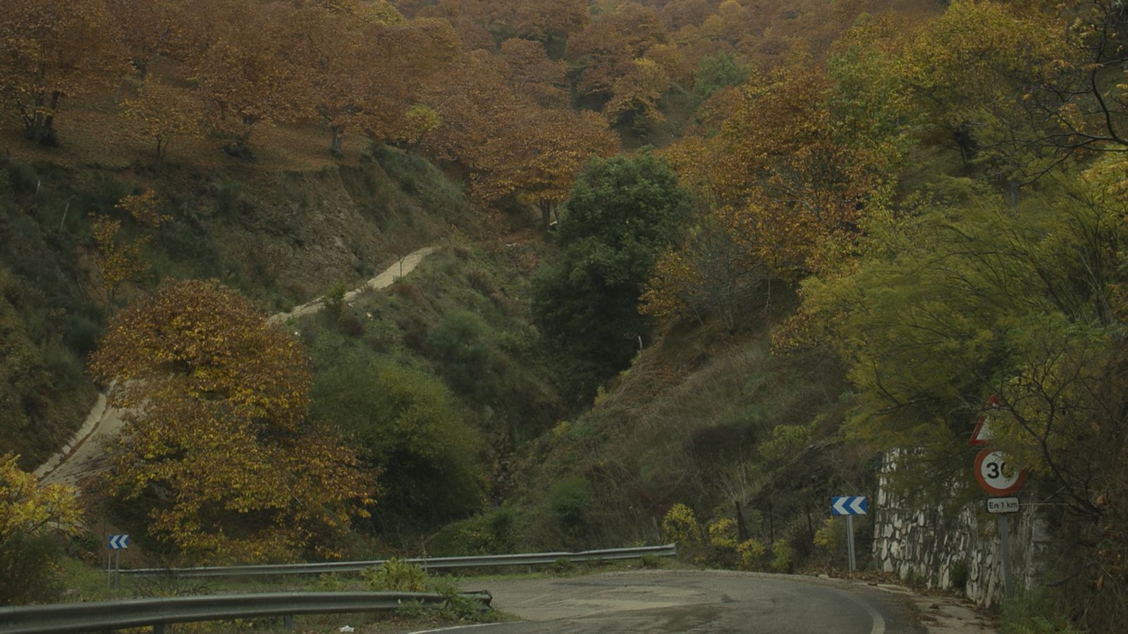 Carretera de Ronda con el asfalto dañado, junto a Pujerra
