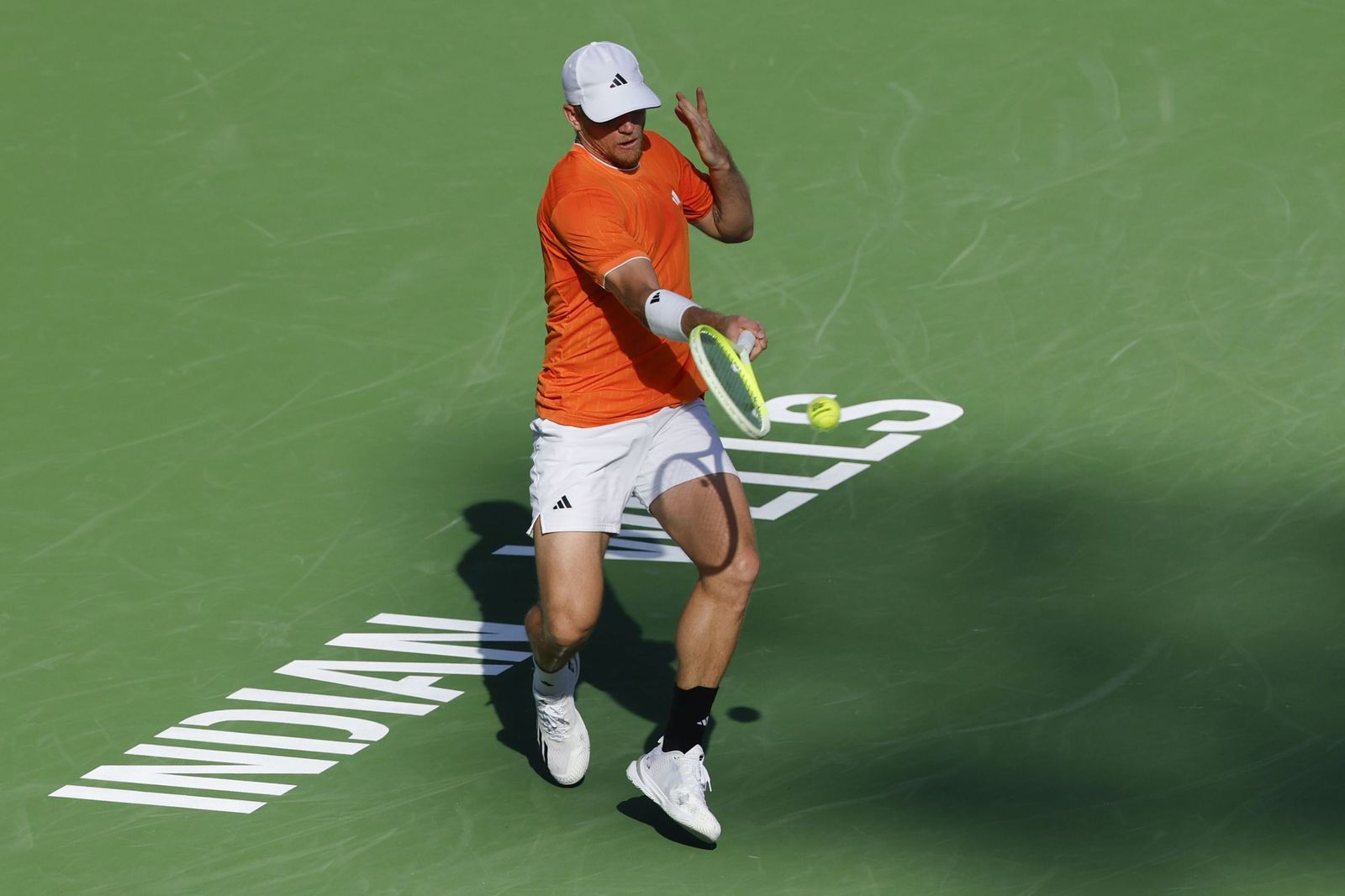 Alejandro Davidovich-Learner Tien, en fotos