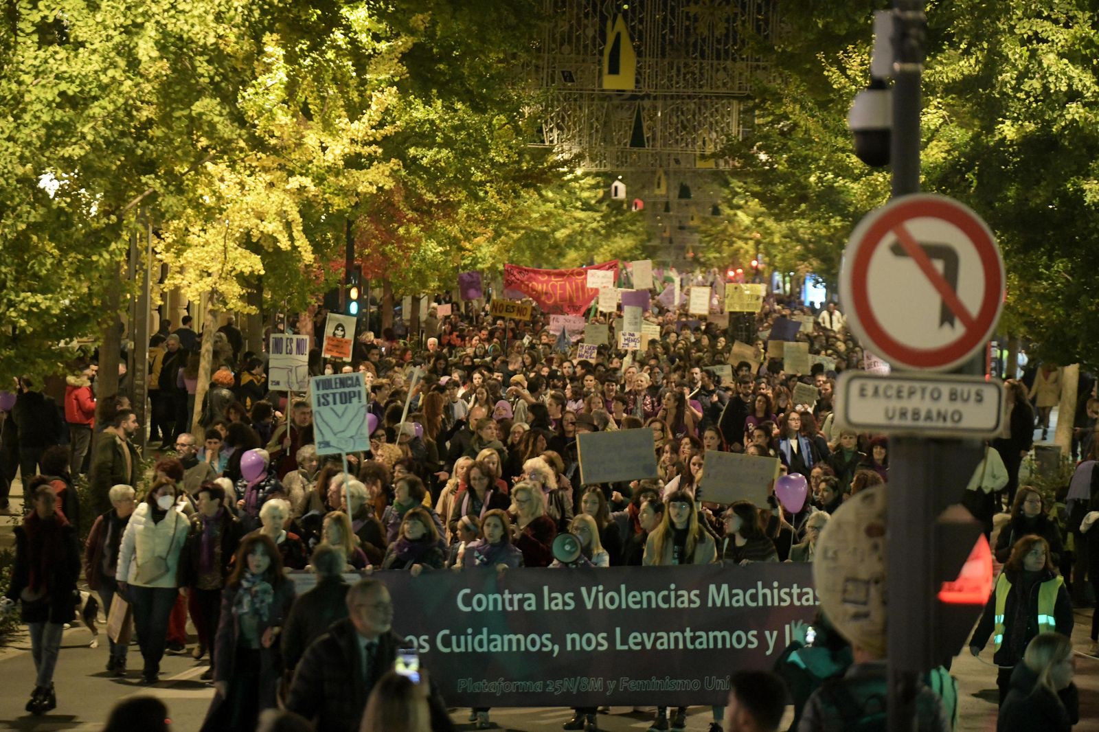 La manifestación del 25-N en Granada, en imágenes