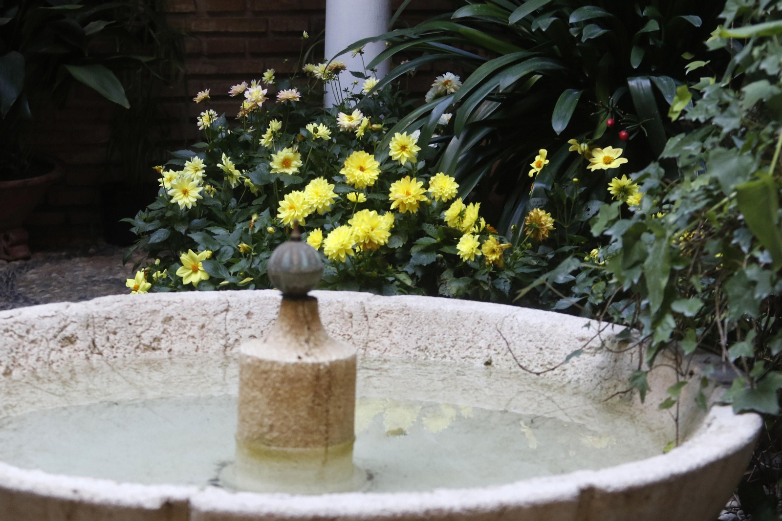 Ruta Judería - San Francisco de los Patios de Córdoba, en imágenes