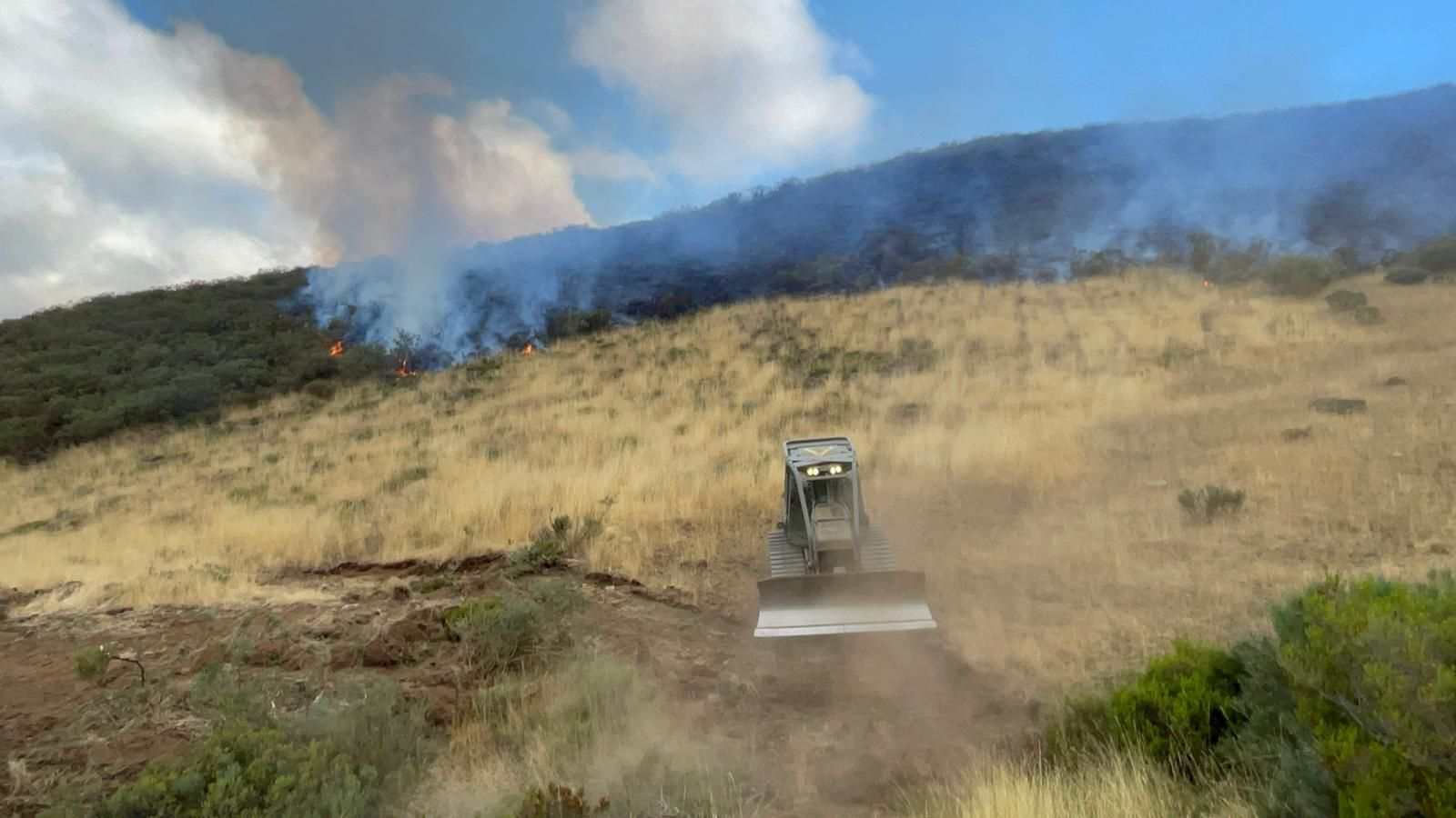 Las mejores imágenes de la Brigada Guzmán el Bueno de Córdoba en la lucha contra los incendios en León