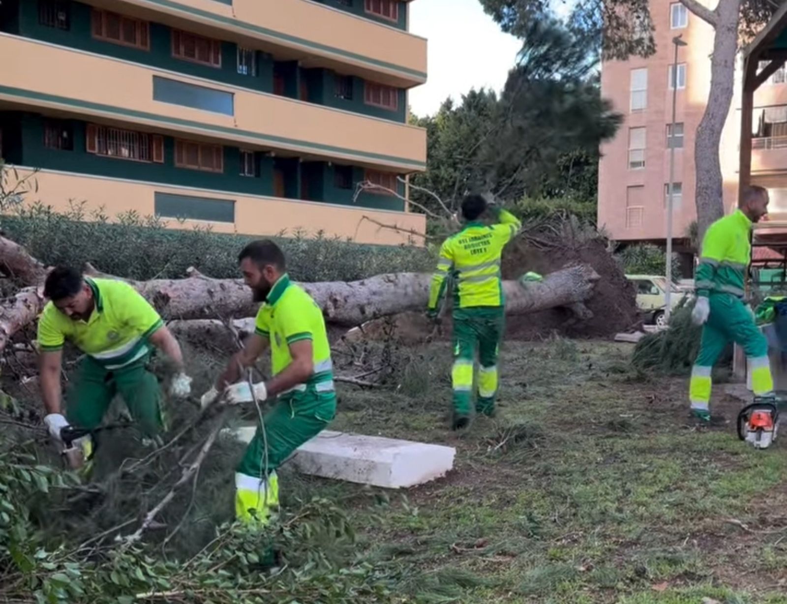 Los operarios municipales de Roquetas trabajan para recuperar la normalidad.