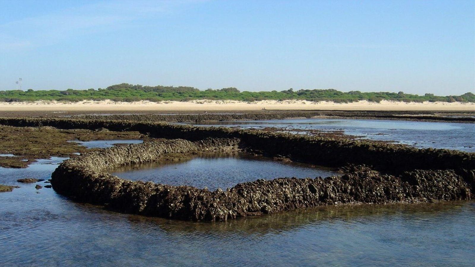 Playa de la Jara, en Sanlúcar. Playa de la Jara, en Sanlúcar.