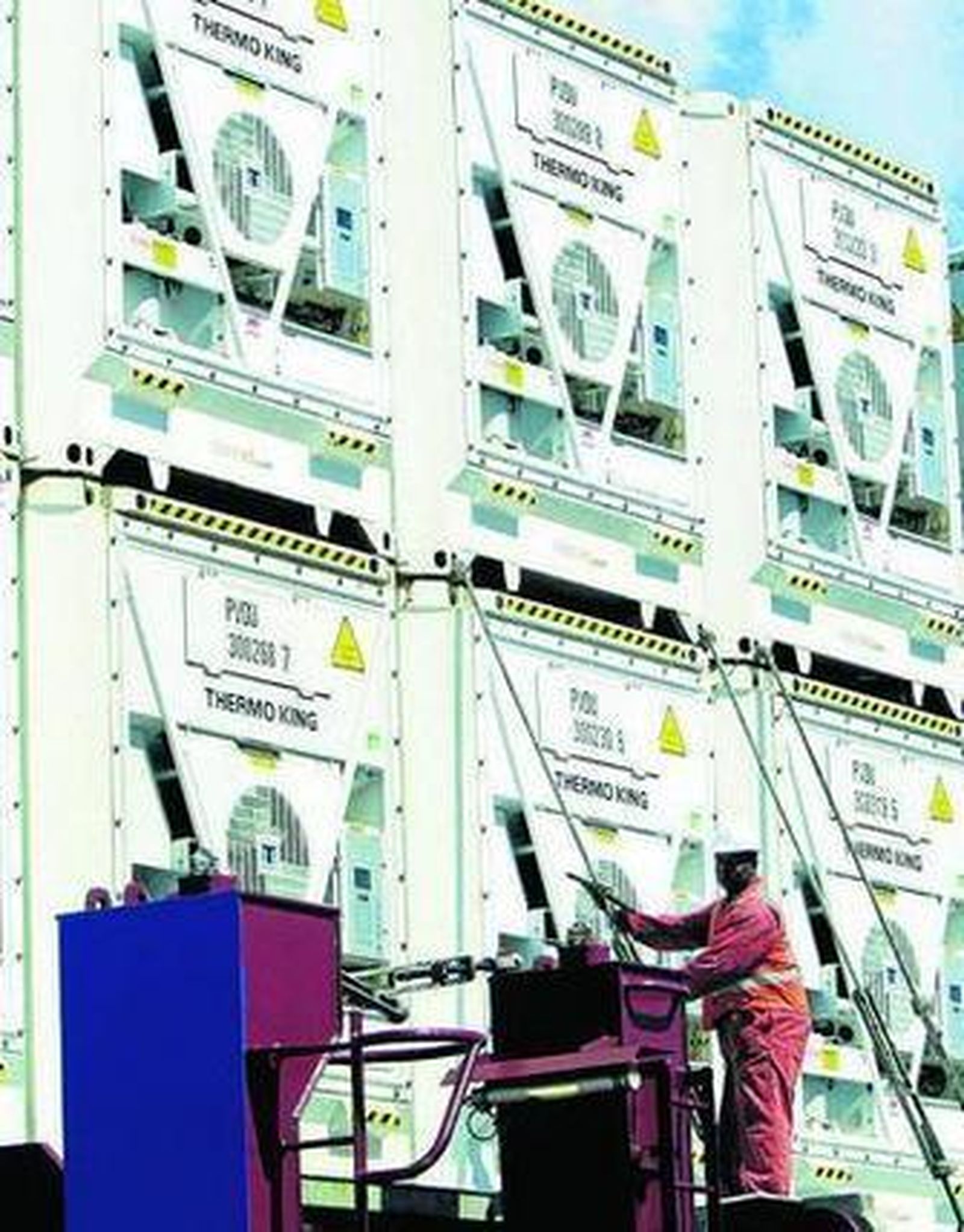 Las hortalizas están entre los diez productos agrarios más exportados.