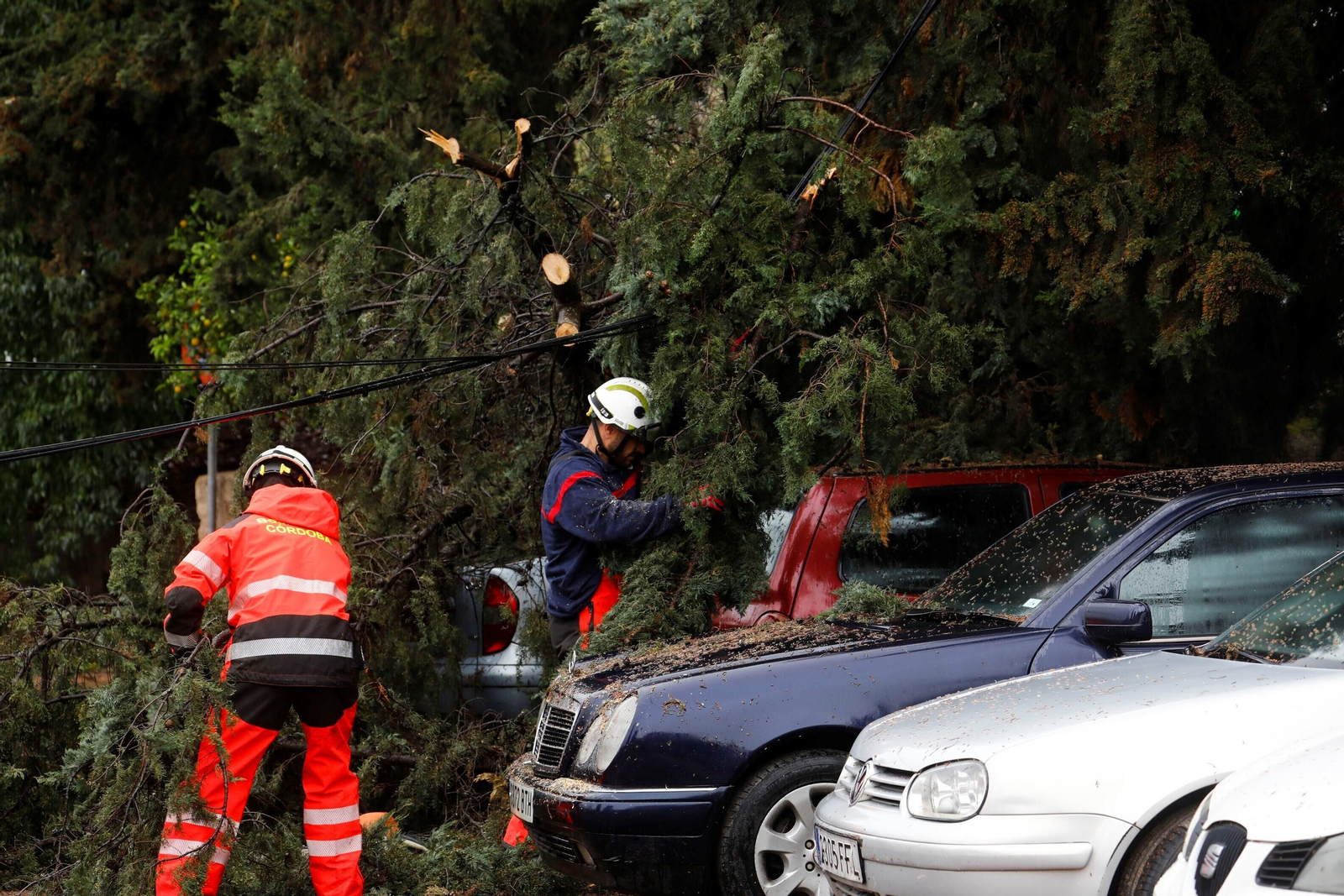 Los daños del último temporal que ha pasado por Córdoba, en imágenes