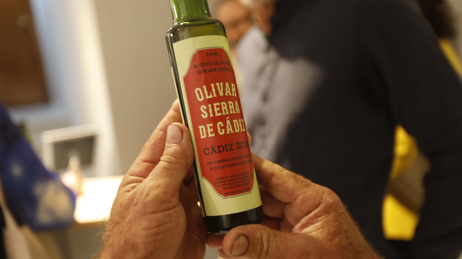 Las fotos de la inauguración de la Exposición CádizZ2030