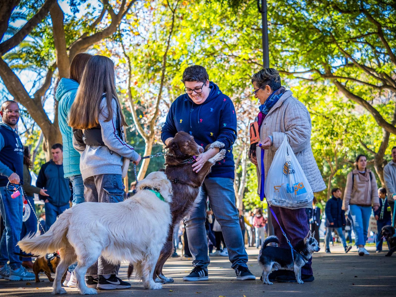 Las imágenes de San Antón 2025 en San Fernando