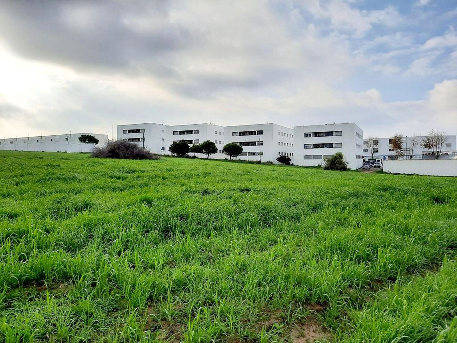 Terrenos sobre los que se pretenden edificar las nuevas viviendas en la zona de Pocito Blanco.