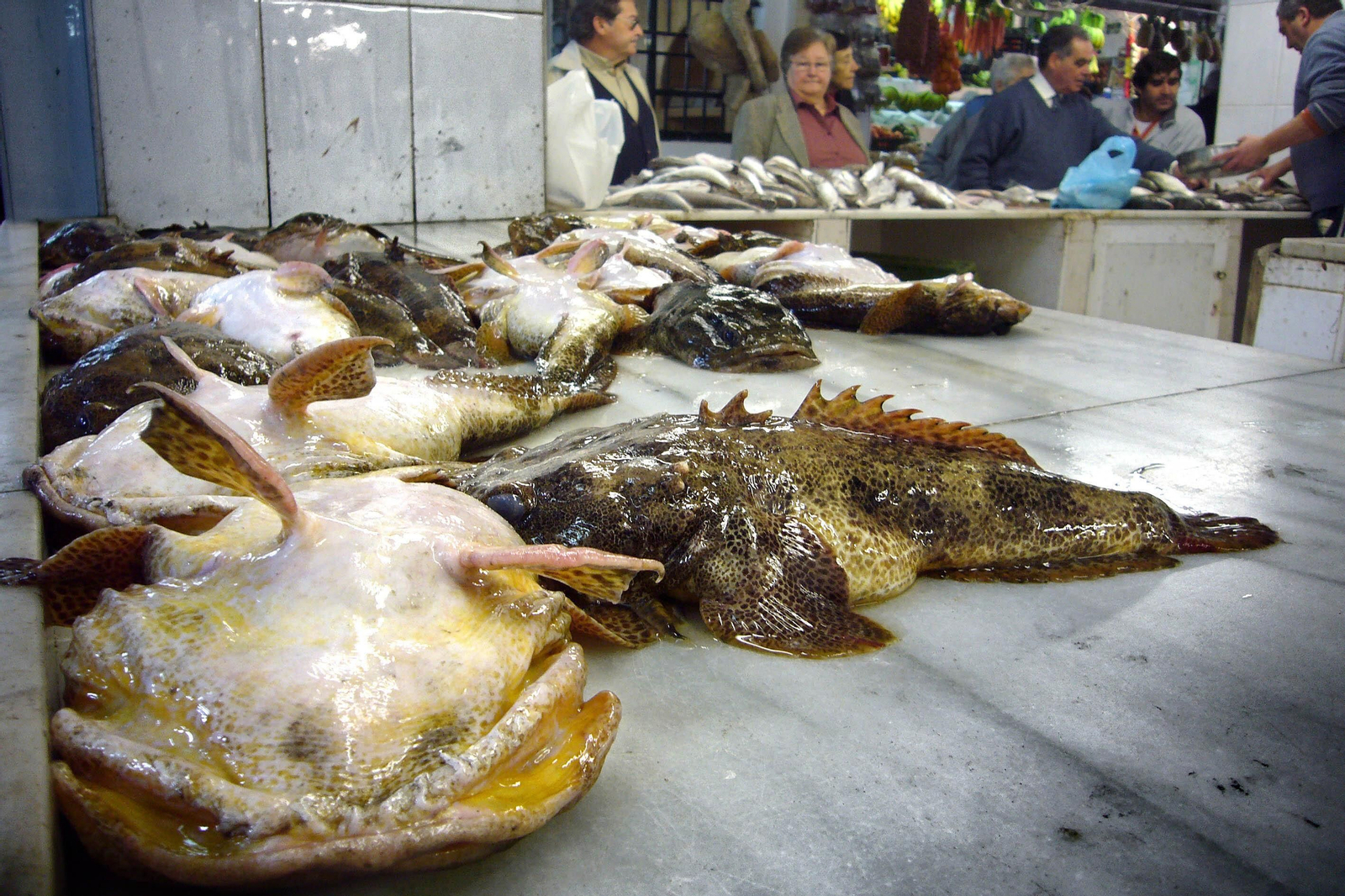 Venta de Sapos en el Mercado de Puerto Real en 2008