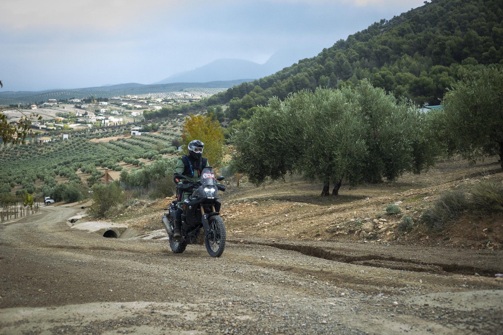 ¿Estuviste en la tercera edición de la ruta Olivobook? Búscate