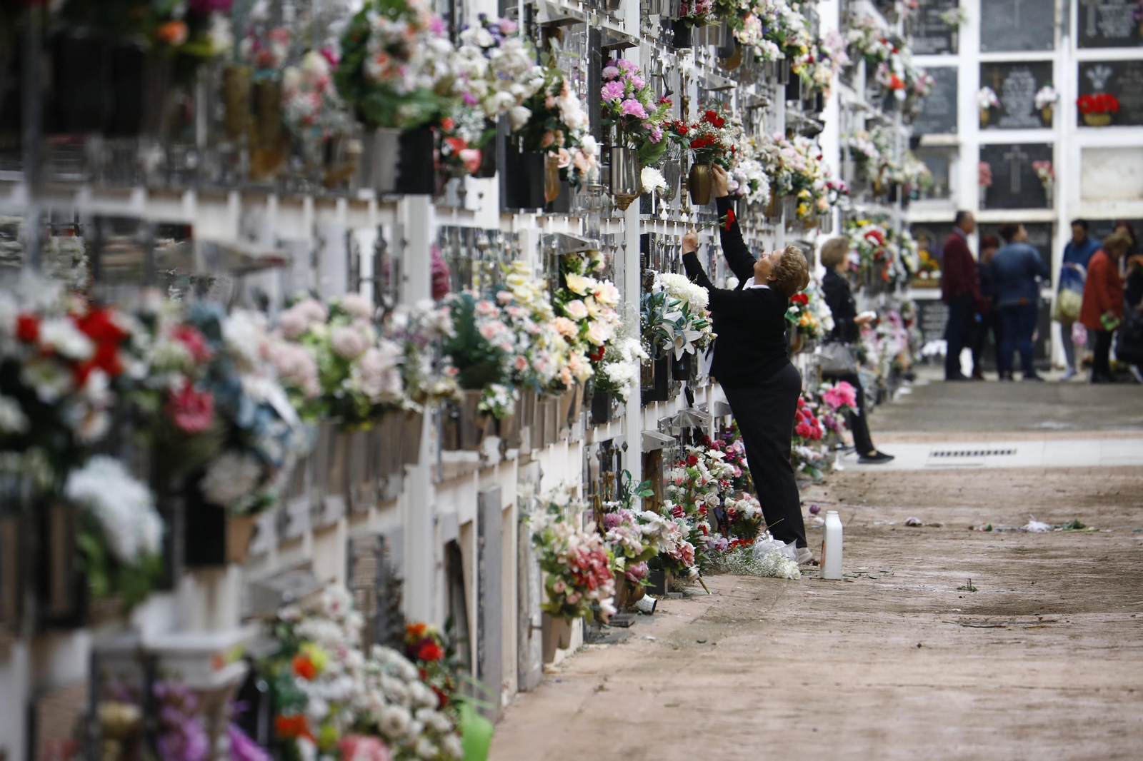 Las imágenes de los preparativos de los cementerios de Córdoba por el día de Todos los Santos
