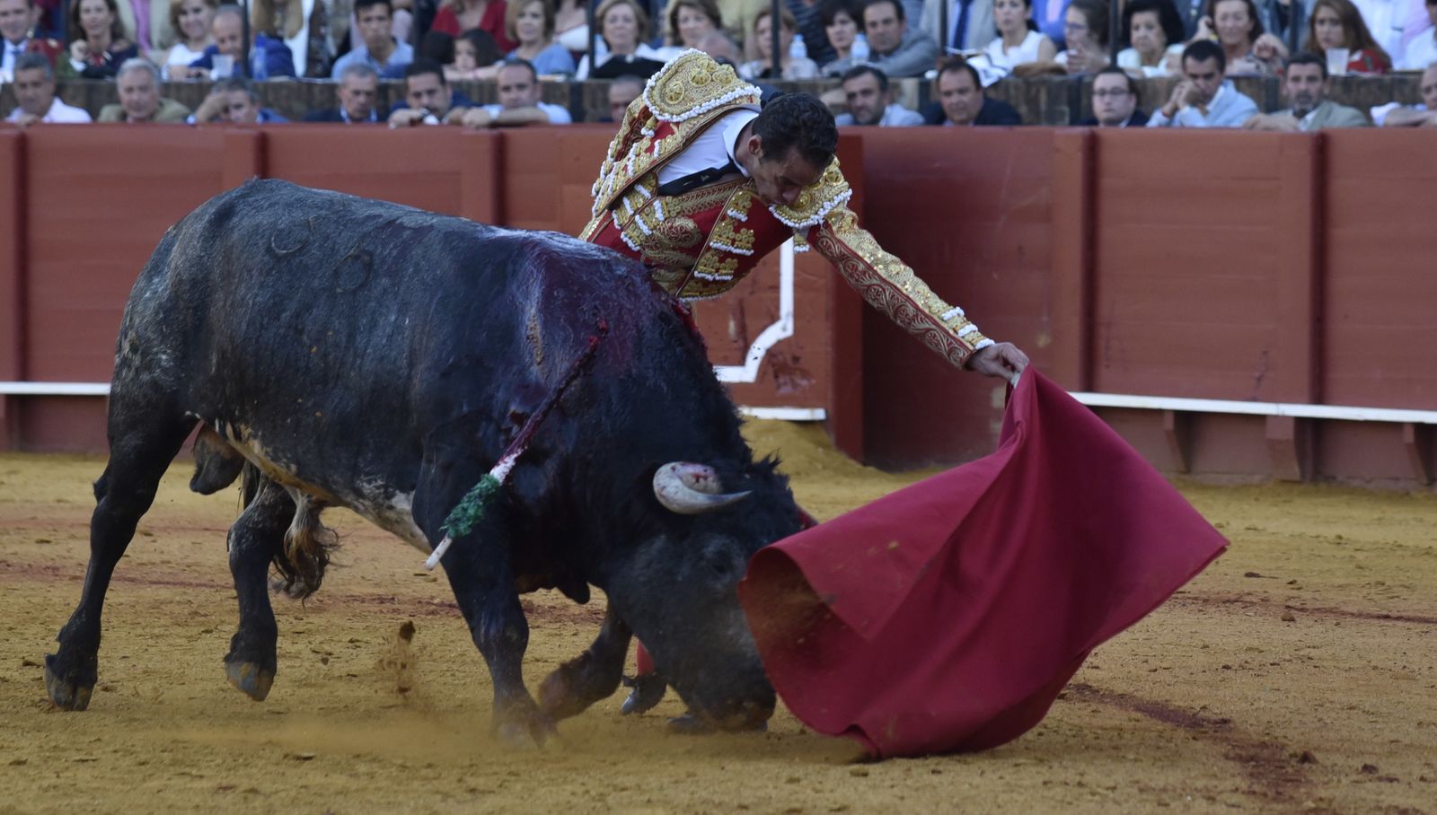 La 14ª de abono en la Real Maestranza de Sevilla, en imágenes